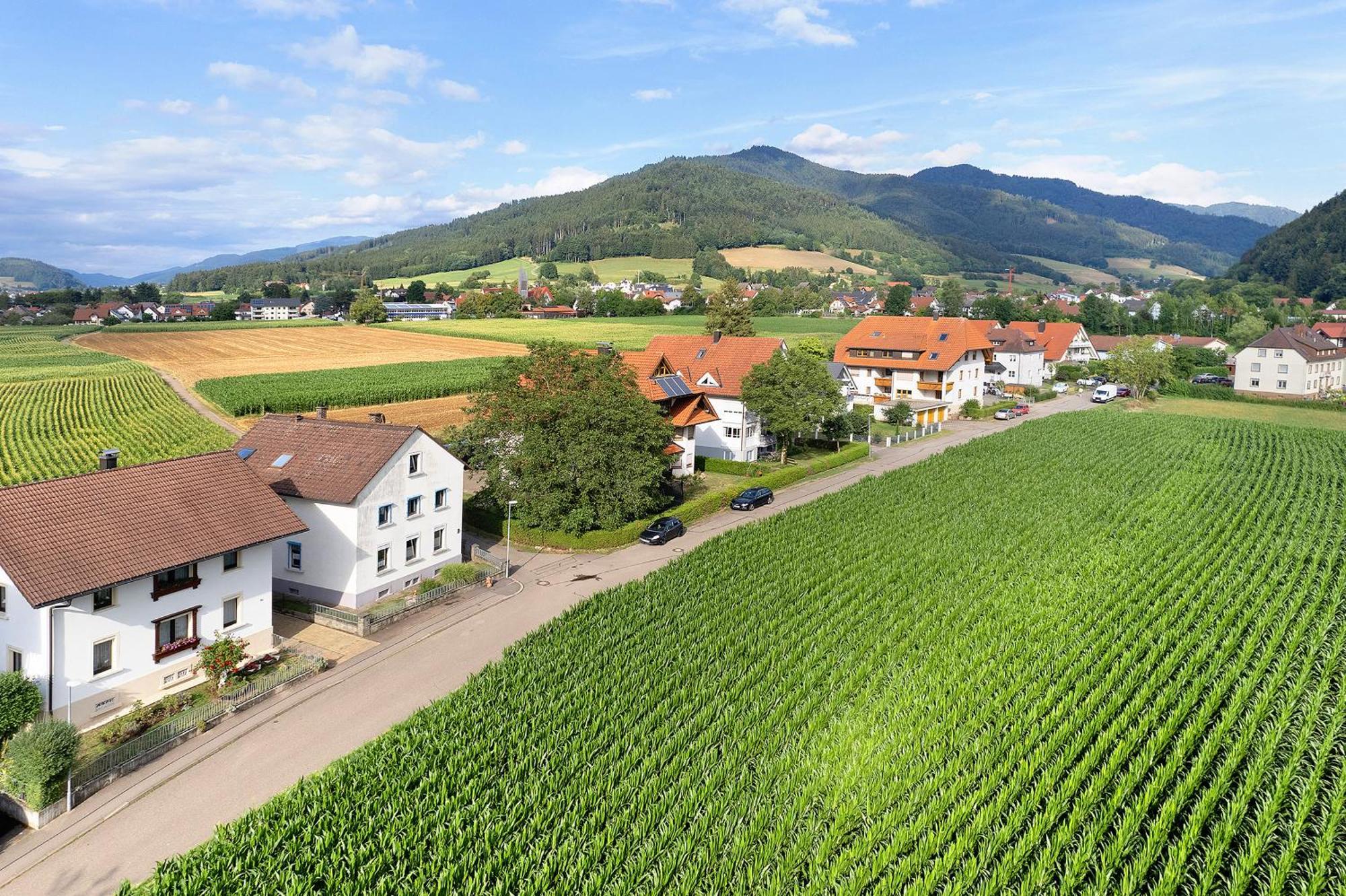 Ferienwohnung Emma Gutach im Breisgau Exteriör bild